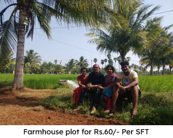 Farmhouse-plots