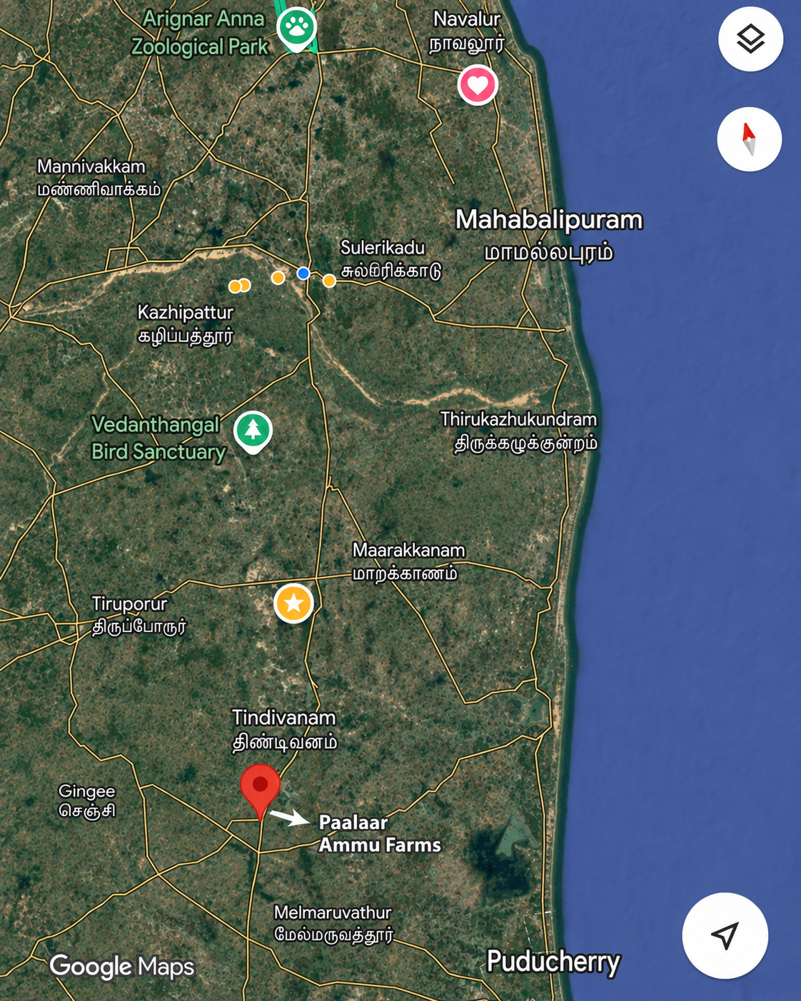 Ammu Farms Location